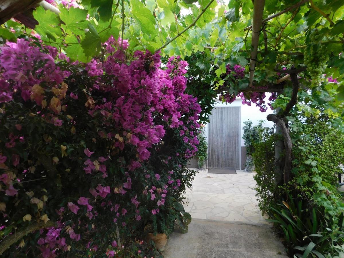 Elegant In With Private Pool *